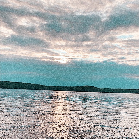 Meet your Posher, Bella - Picture 1 of 1